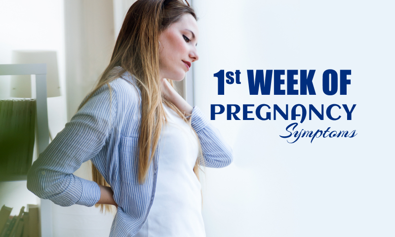 1st week of pregnancy