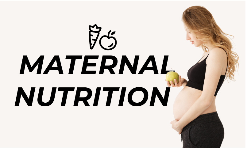 maternal nutrition during Pregnancy