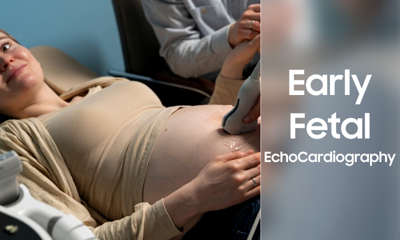 early fetal echocardiography