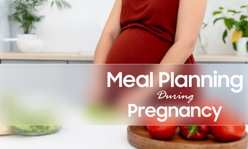 meal plan for healthy pregancy