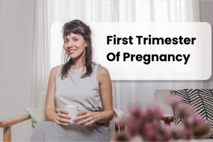 first trimester of pregnancy