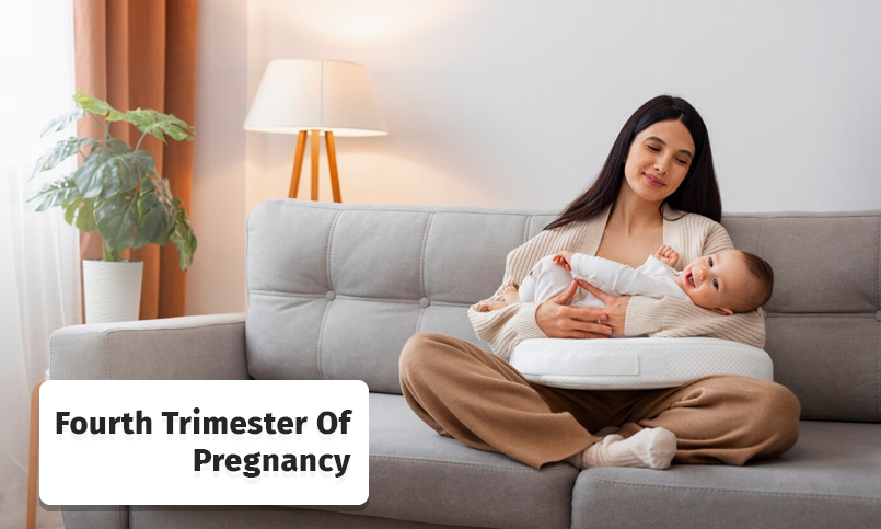 fourth trimester pregnancy