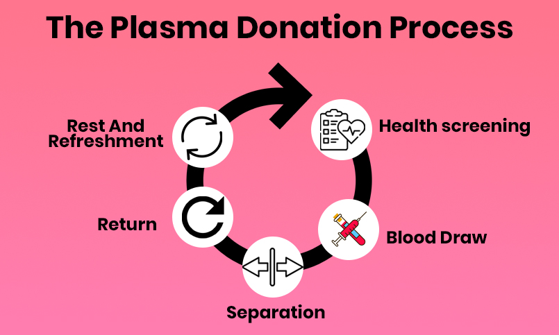 PLASMA DONATION PROCESS