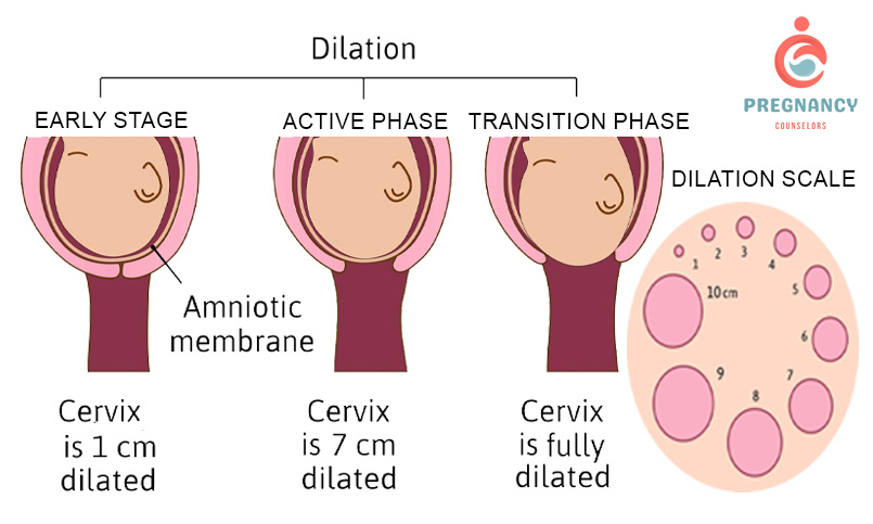 Signs of labor