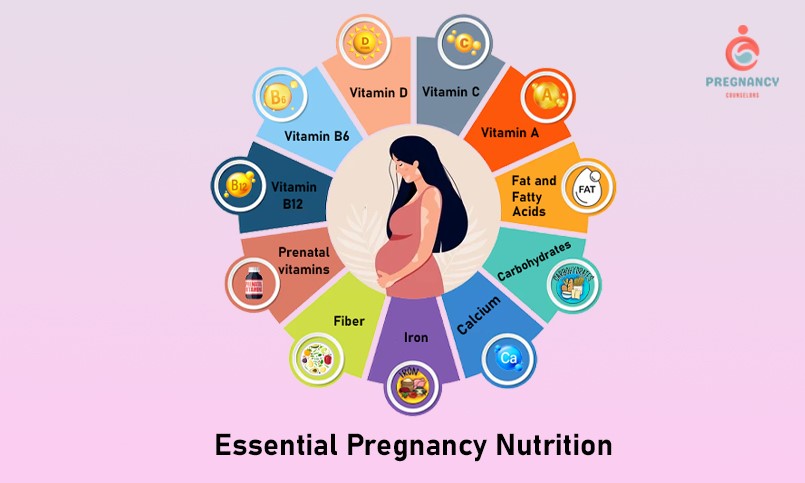 pregnancy Nutrition 1