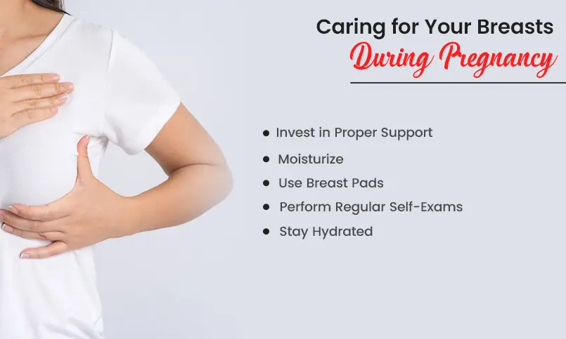 Caring for Your Breasts During Pregnancy