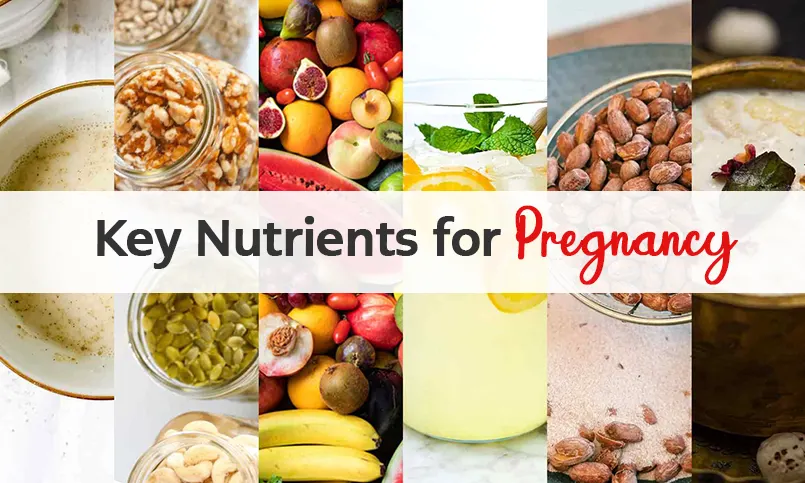 Key Nutrients for Pregnancy diet