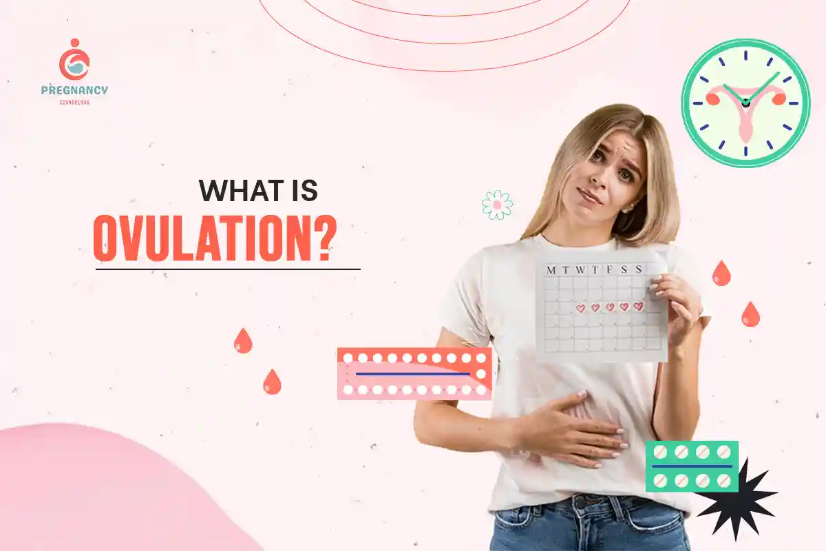 What Is Ovulation? A Simple Guide for Every Woman