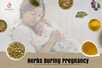 Herbs and Pregnancy: Safe Practices and Benefits for Expecting Moms