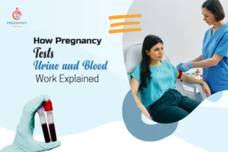 How Pregnancy Tests Urine and Blood Work Explained