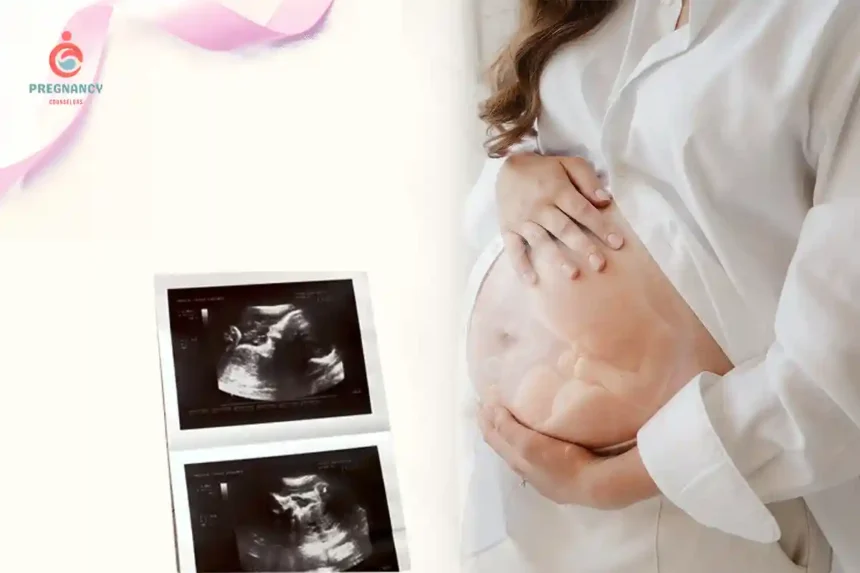 Ultrasound in Pregnancy